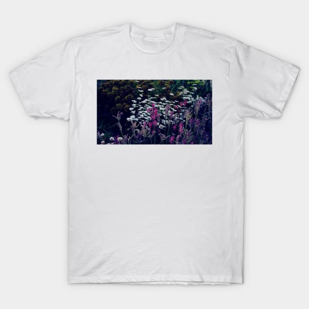 King's Park Flowers 3 T-Shirt by James Mclean